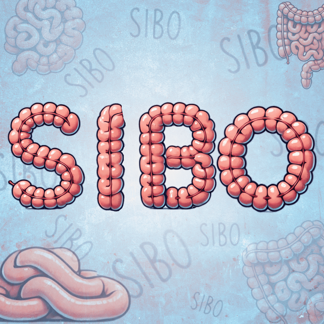 Understanding SIBO. Symptoms, Diagnosis, and Management