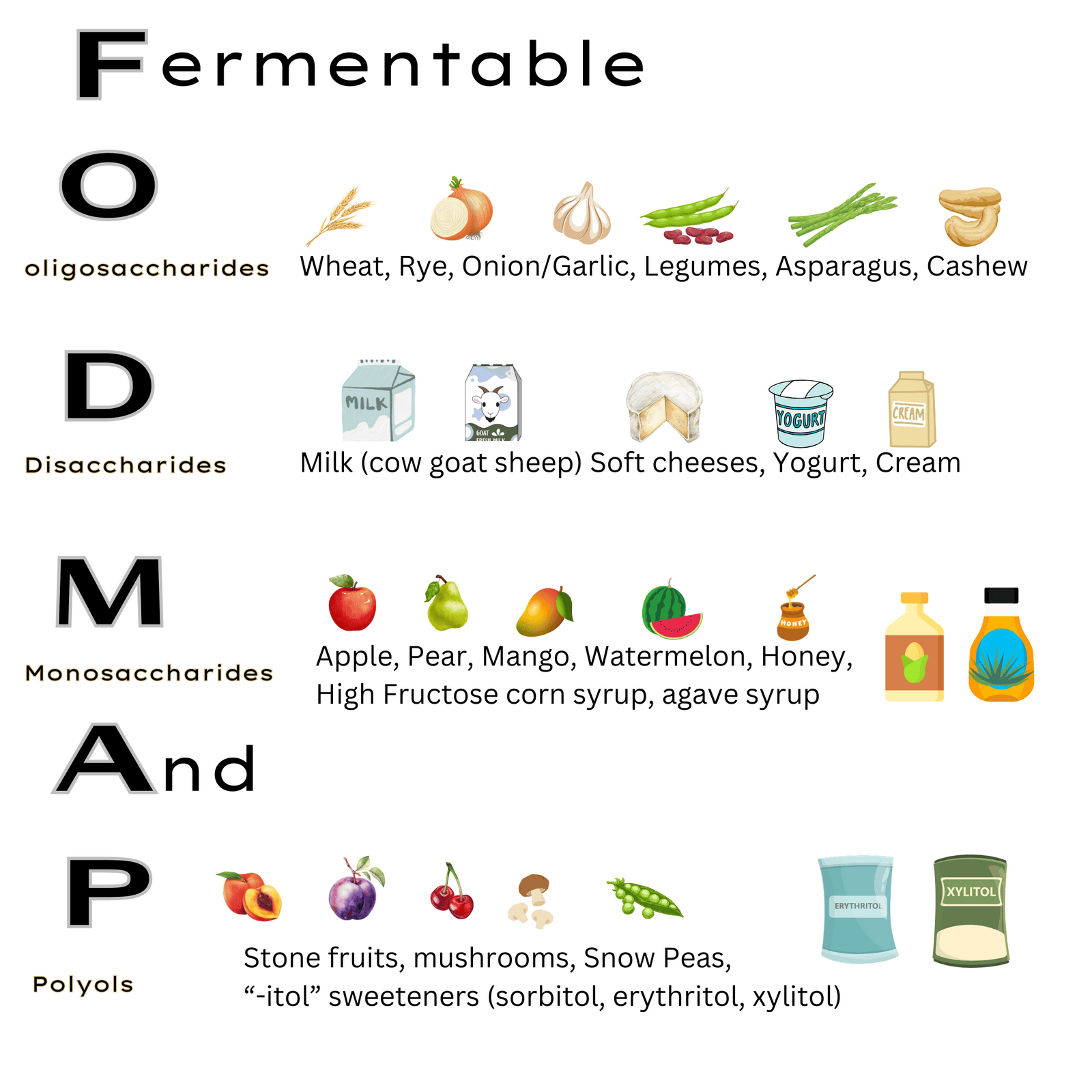 Illustration of the FODMAP acronym with examples of high FODMAP foods for each category. The acronym FODMAP stands for Fermentable Oligosaccharides, Disaccharides, Monosaccharides, and Polyols.