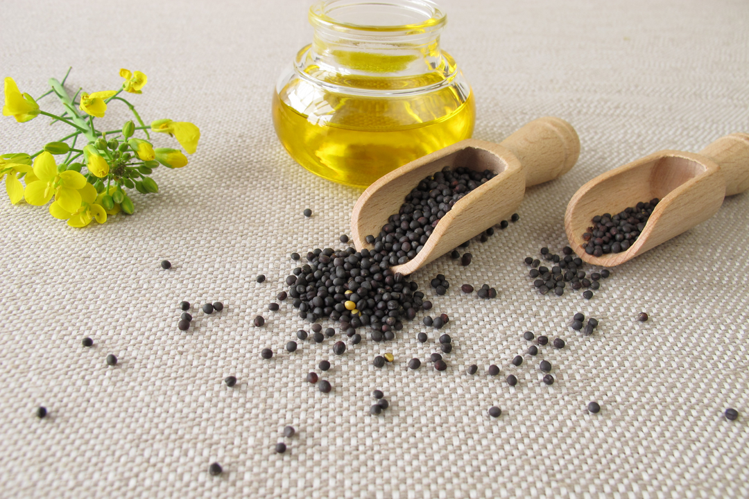 Is Canola a healthy oil?
