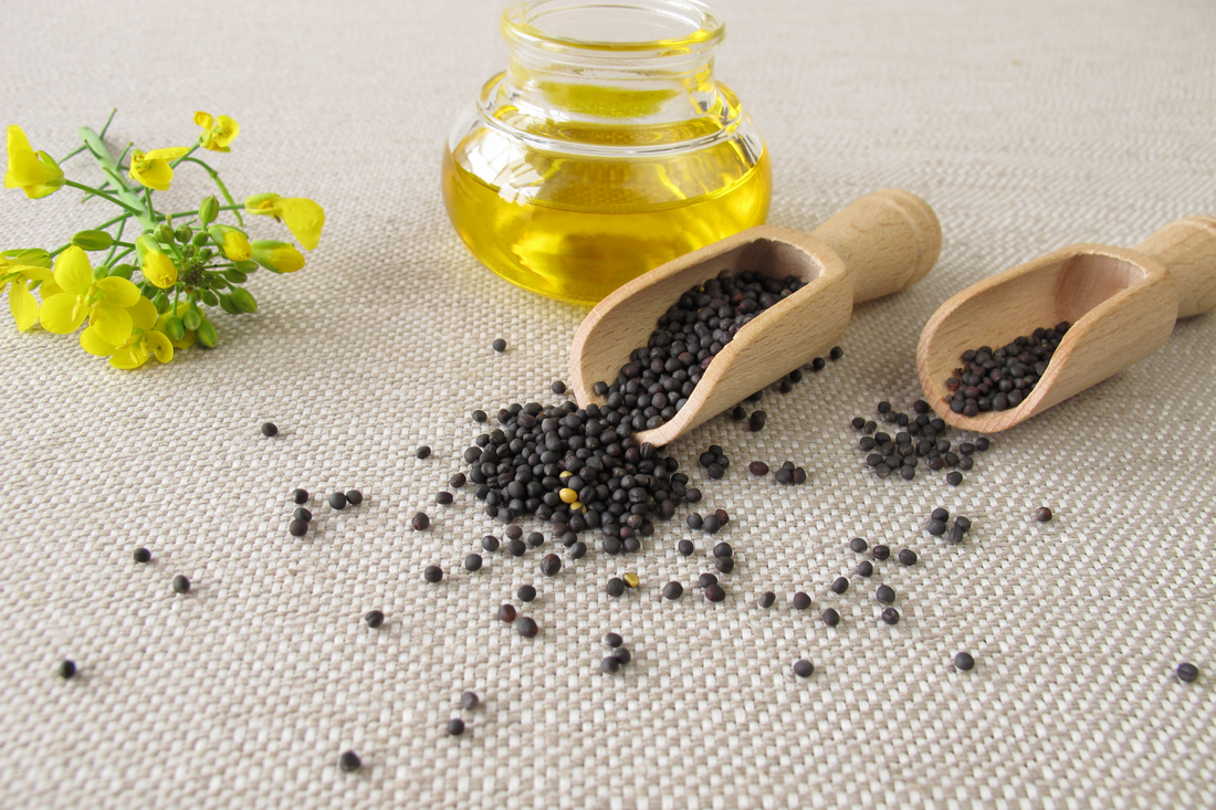 Canola Oil's Health Benefits and Dispelling Myths